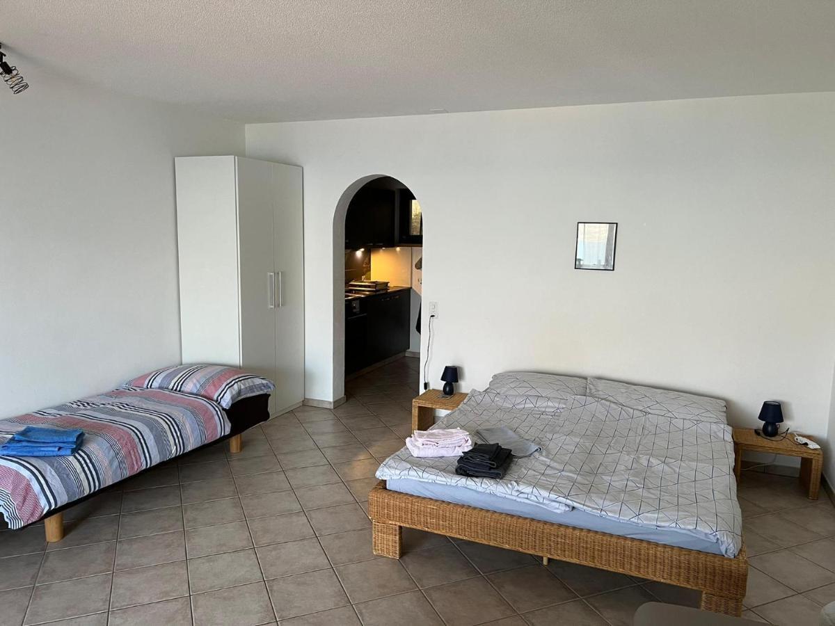 1 Zimmer Apartment Mit Seesicht Und Pool Gambarogno Kültér fotó